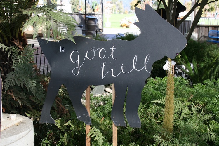 Goat Hill 1
